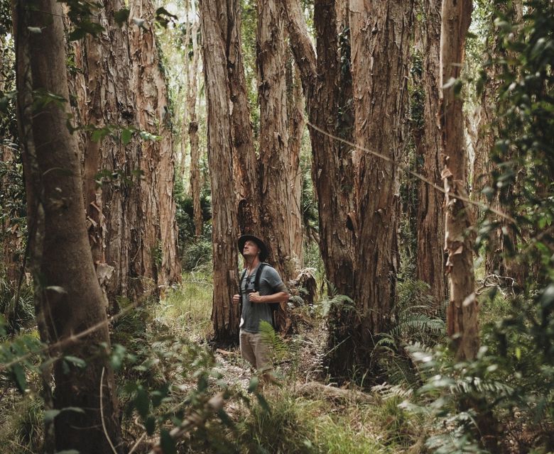 Habitat Noosa - hiking