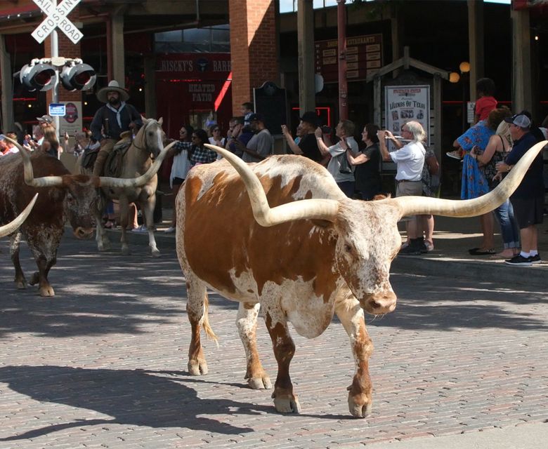 Texas Hill Country - Brand USA