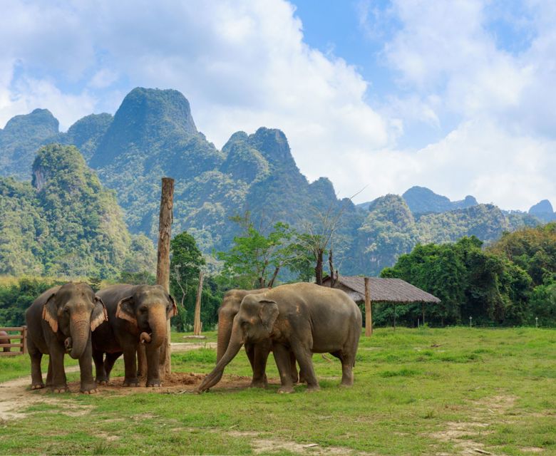 Elephant Hills: Jungle and Lake Camp Safari - Elephants