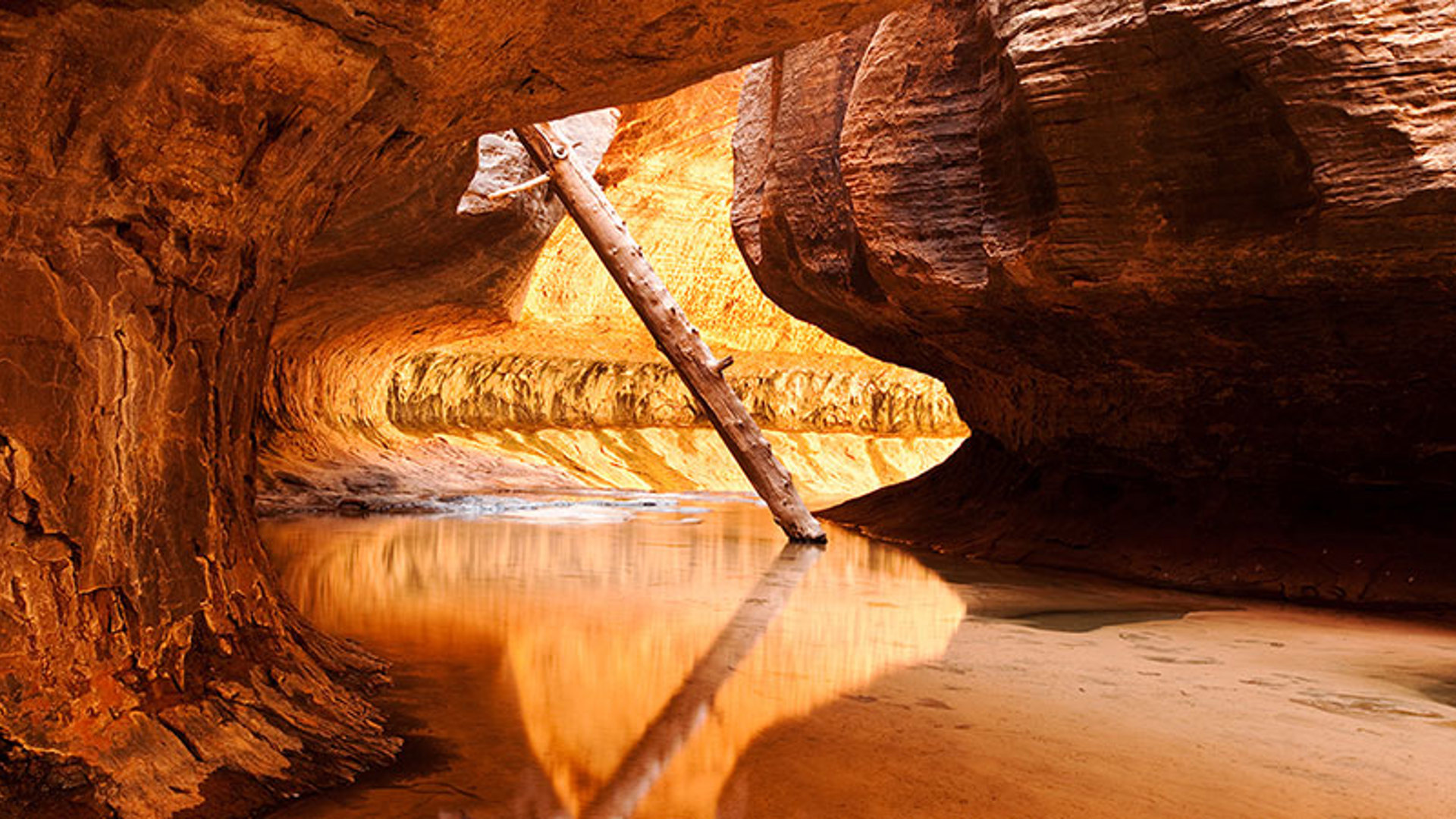 The Left Fork (Subway) in the Zion National Park 