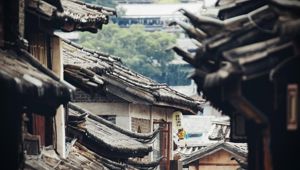 Magnificent China with Wendy Wu Tours