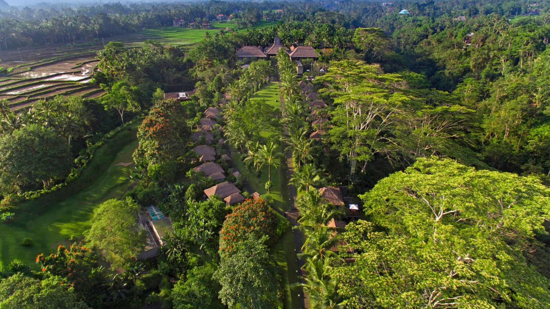 Maya Ubud Resort & Spa - Aerial View