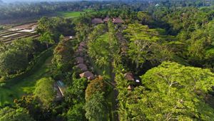 Maya Ubud Resort & Spa - Aerial View