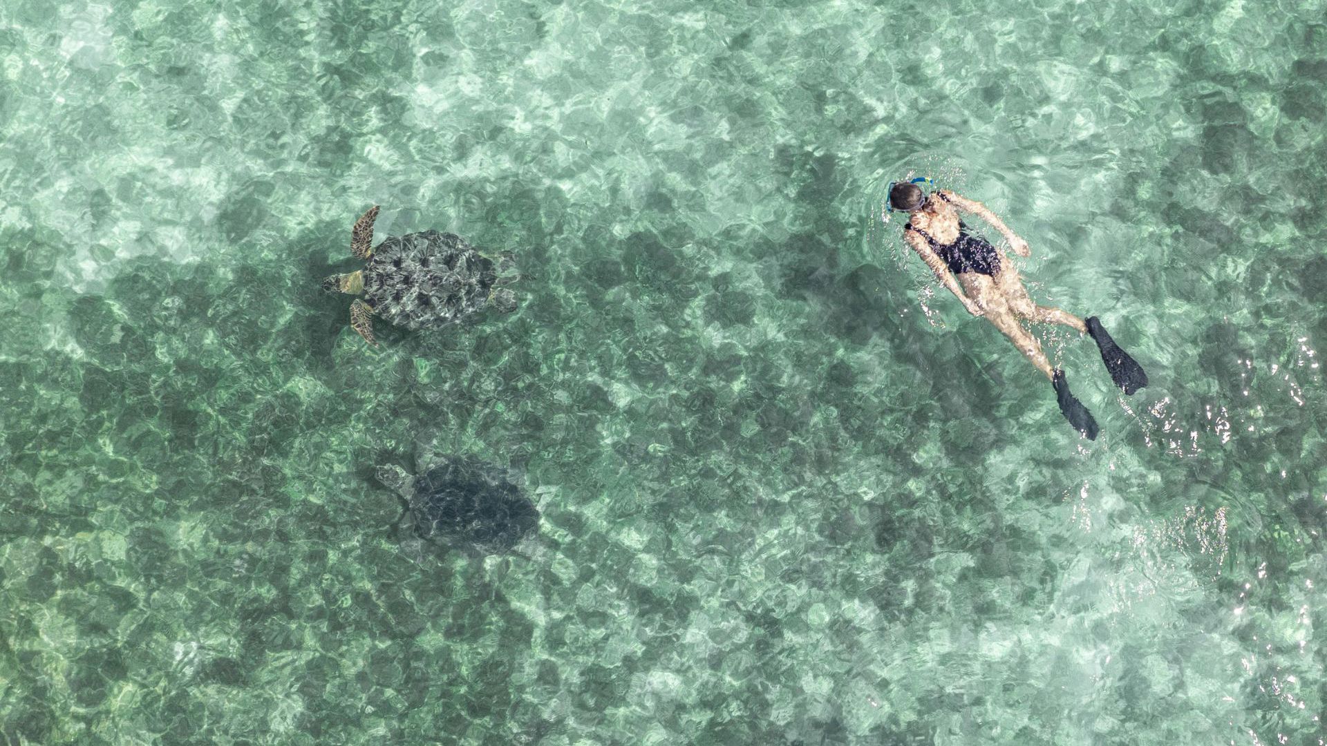 Magical Madagascar - Snorkelling