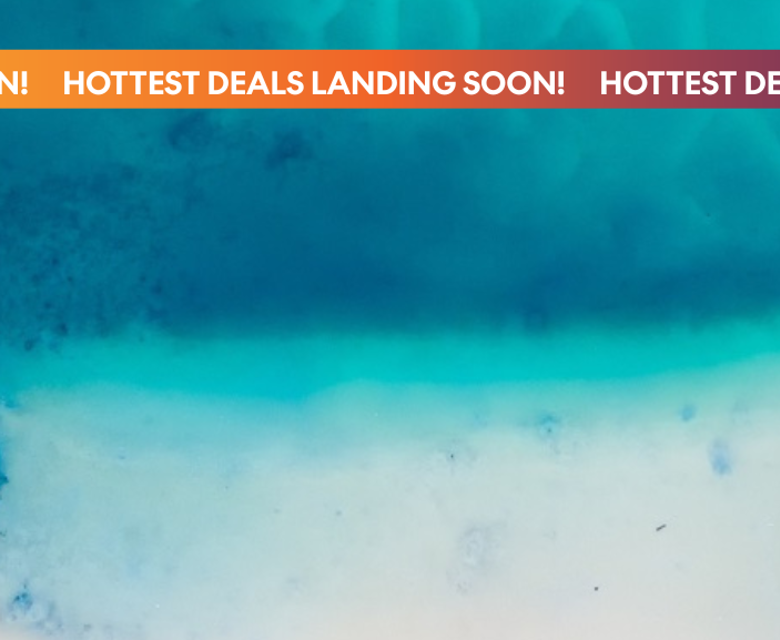 Black Friday Sale 2025 