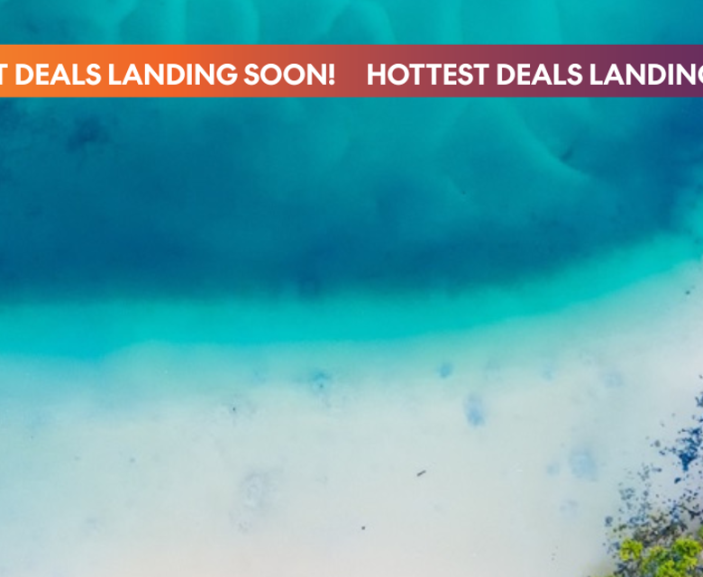 Black Friday Sale 2025 