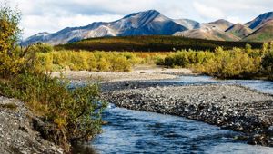 Denali National Park