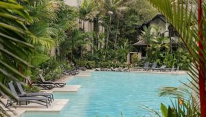 Pullman Palm Cove Sea Temple Resort & Spa - Pool