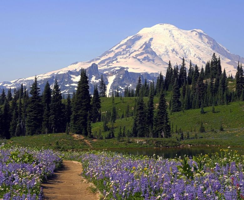 Mt. Rainier National Park 