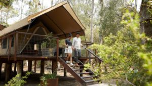 Paperbark Camp Jervis Bay