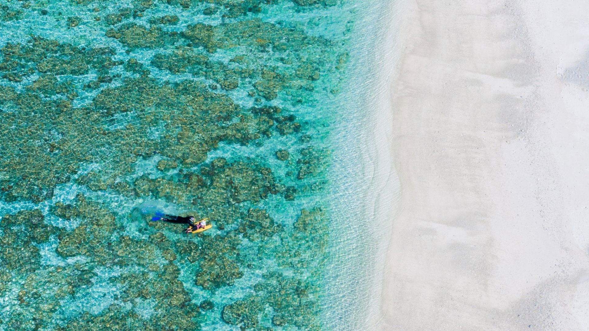 Lady Elliot Island