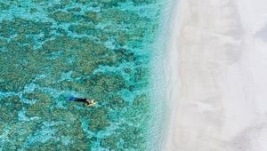 Lady Elliot Island