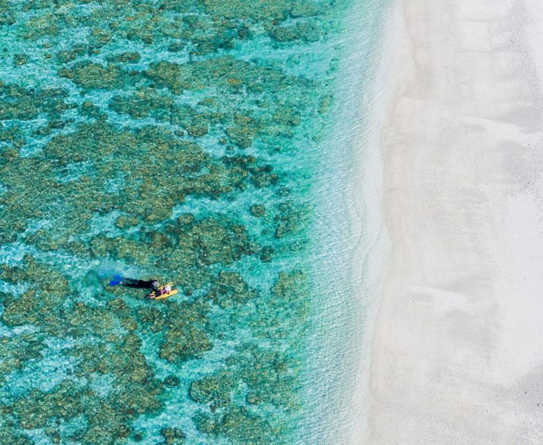 Lady Elliot Island