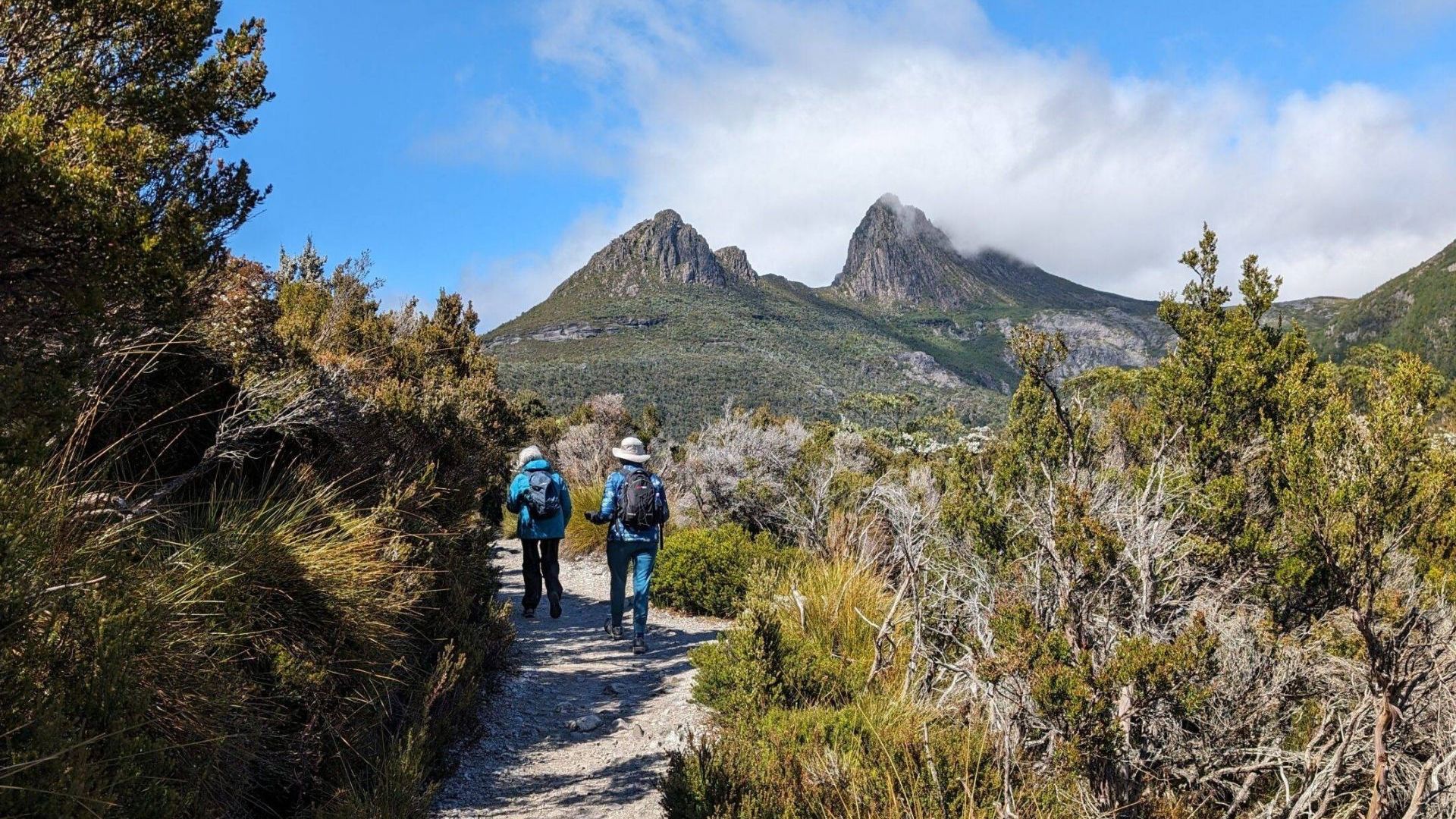 Dove  Lake Circuit Walk