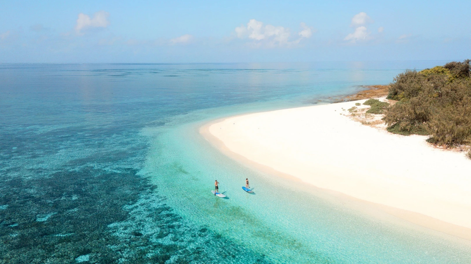 Wilson Island 5