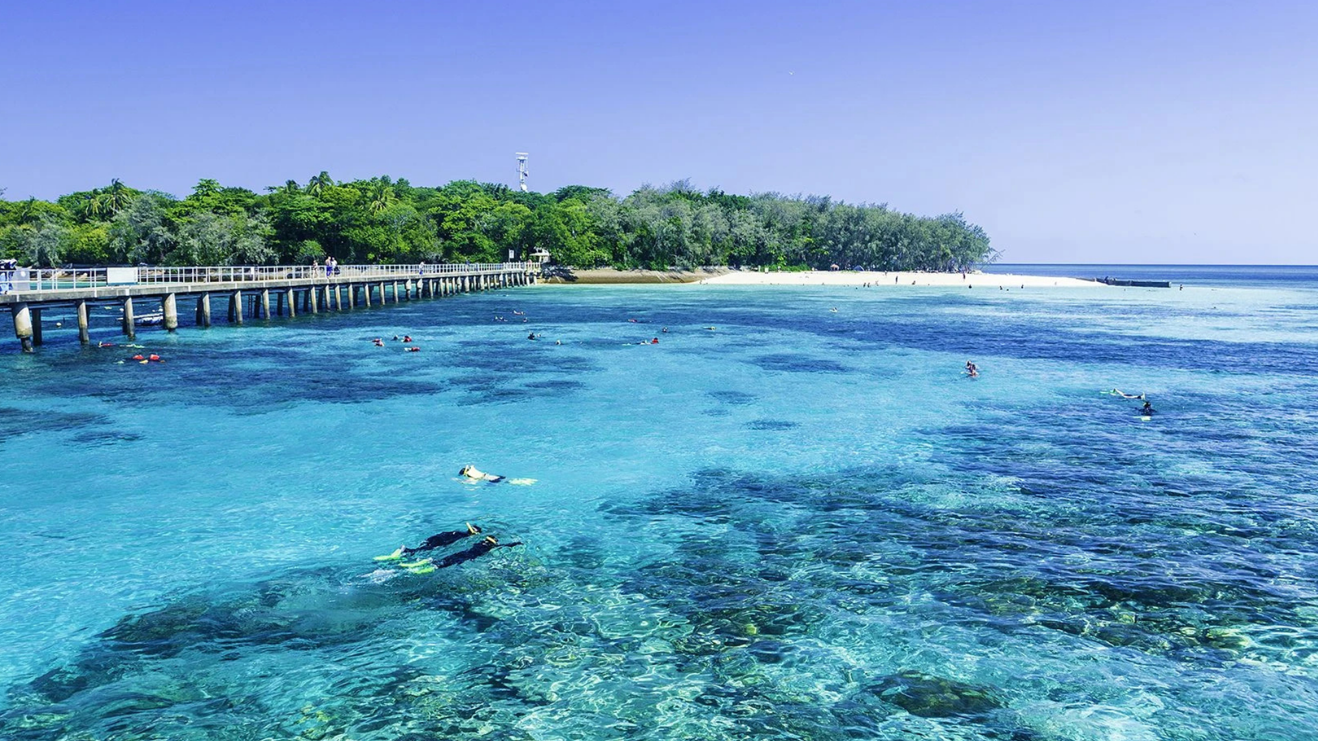 Green Island 5