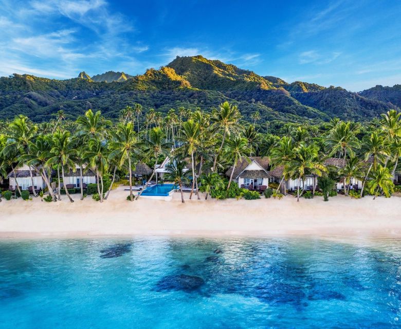 Little Polynesian
