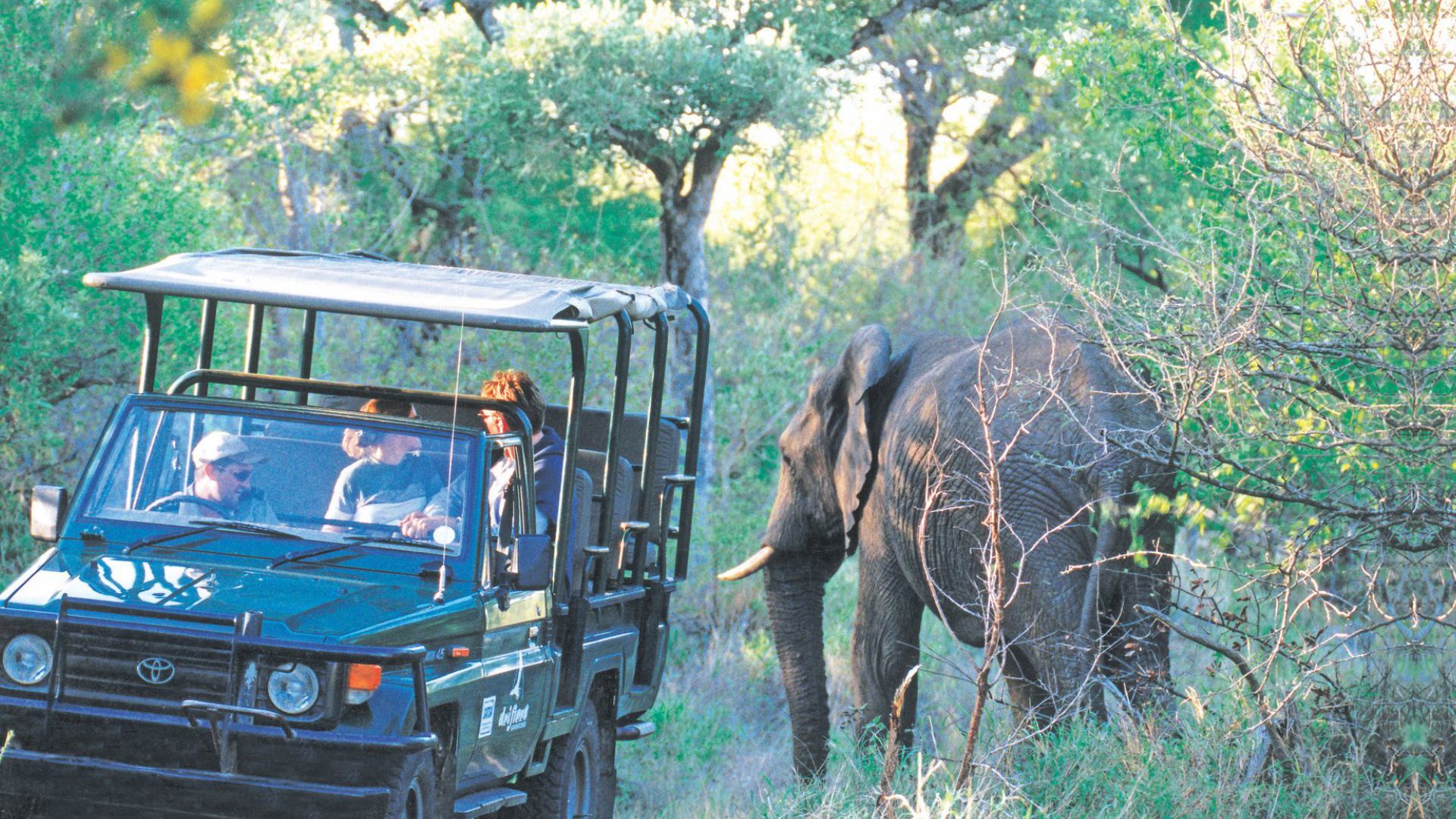 Game Truck - Viva Expeditions