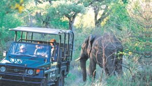 Game Truck - Viva Expeditions