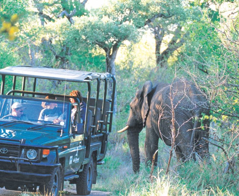 Game Truck - Viva Expeditions