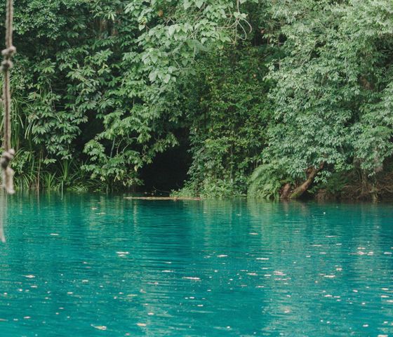 Blue Holes