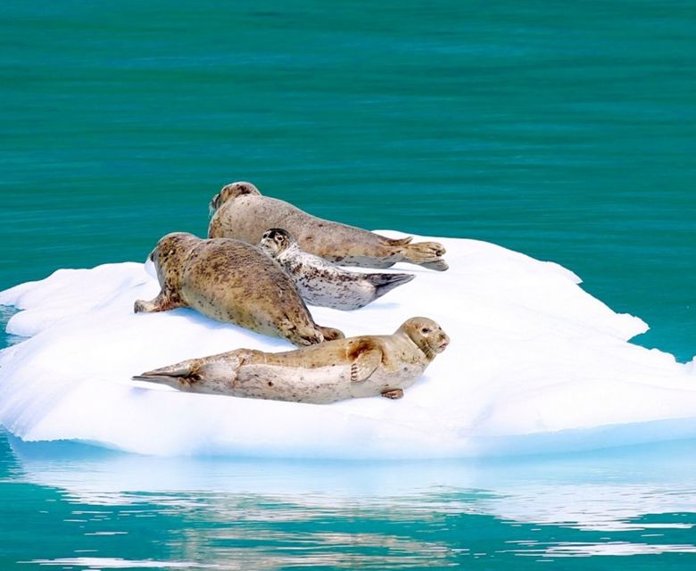  Alaska Juneau Seal