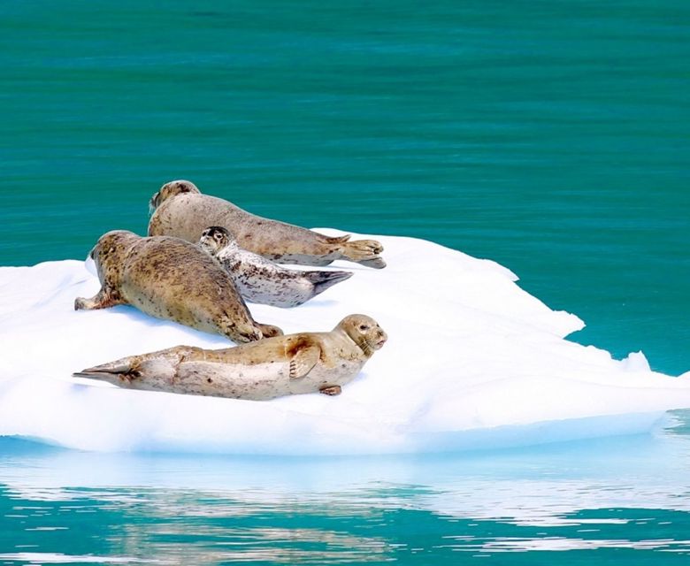  Alaska Juneau Seal