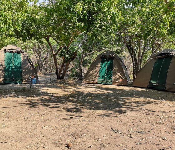 Campsite