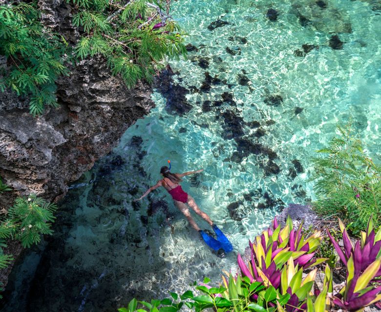 Shangri La snorkelling