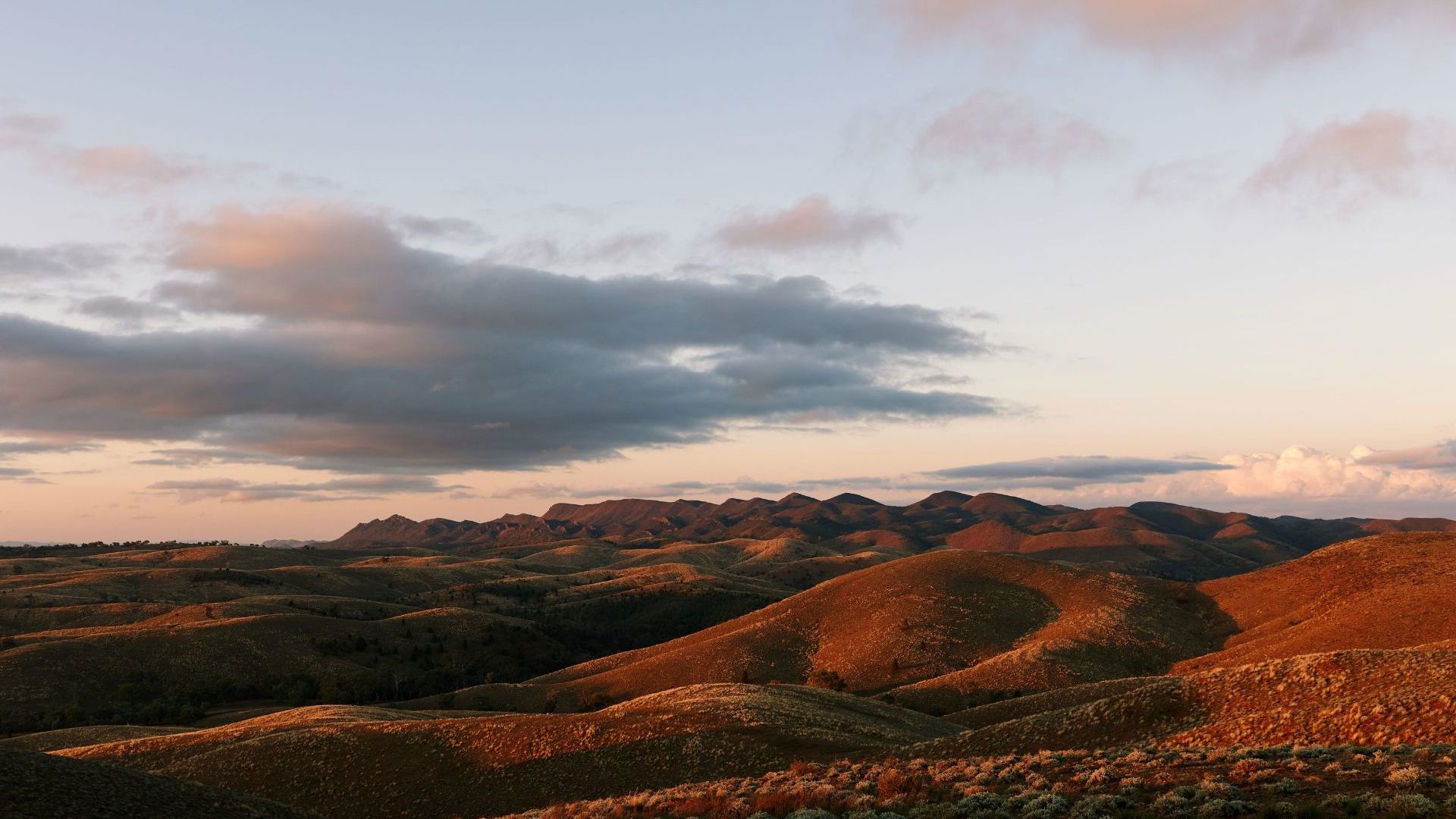 Flinders Ranges 1072562 ©SATC
