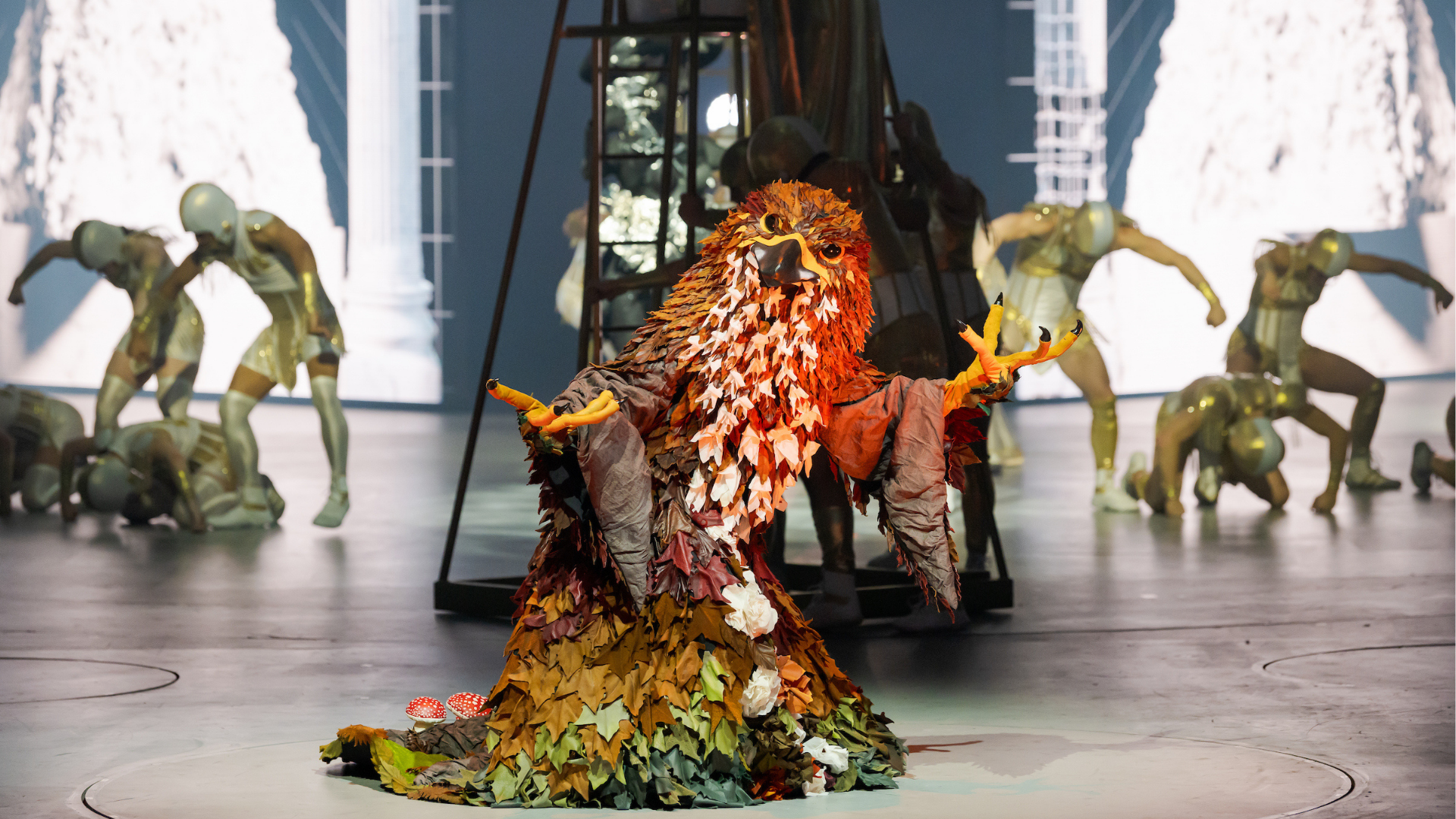 Autumn King, Catherine Anderton, New Zealand