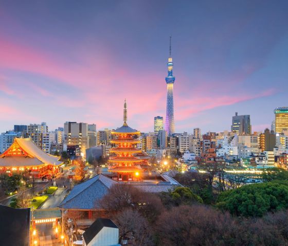 Tokyo Skyline Sunset 