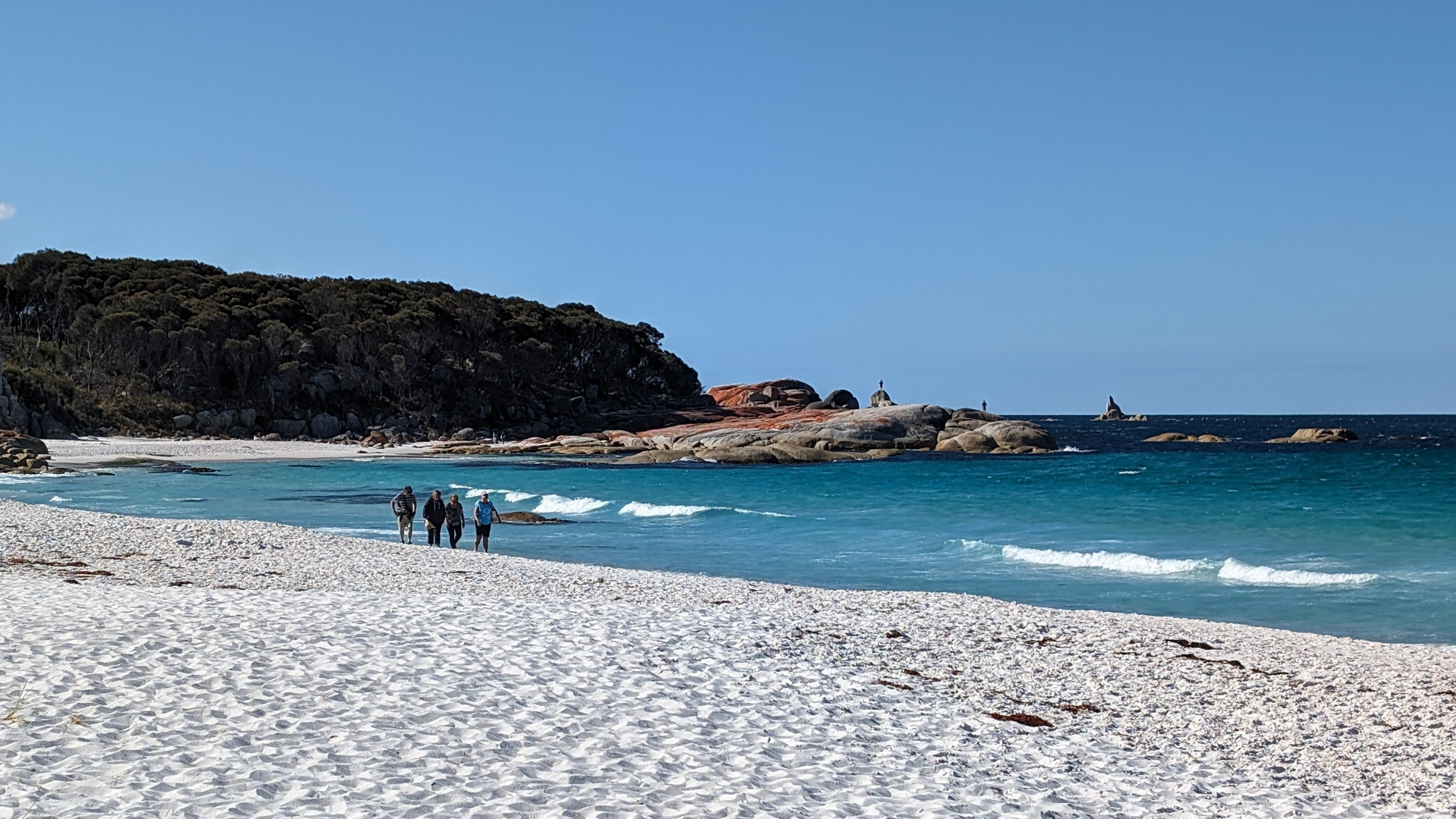Bay Of Fires Beach Walk CR Under Down Under Tours