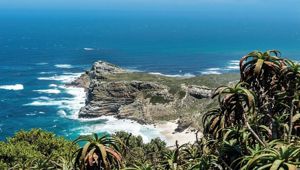 Capetown , South Africa