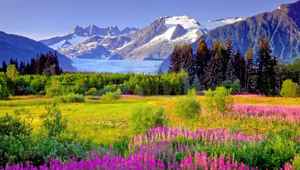  Mendenhall Valley Peaks Meadow Juneau