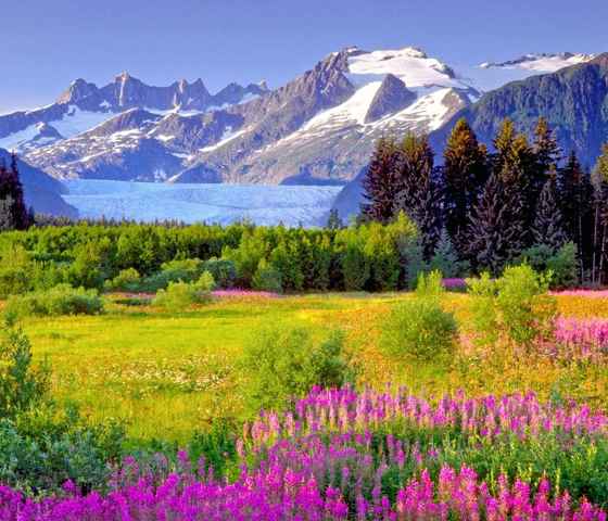  Mendenhall Valley Peaks Meadow Juneau