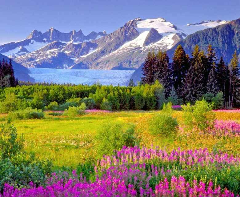  Mendenhall Valley Peaks Meadow Juneau