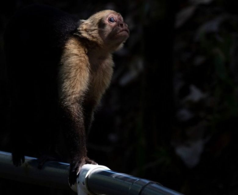 South American Explorer: Temples, Jungles & Panama with Viva Expeditions 