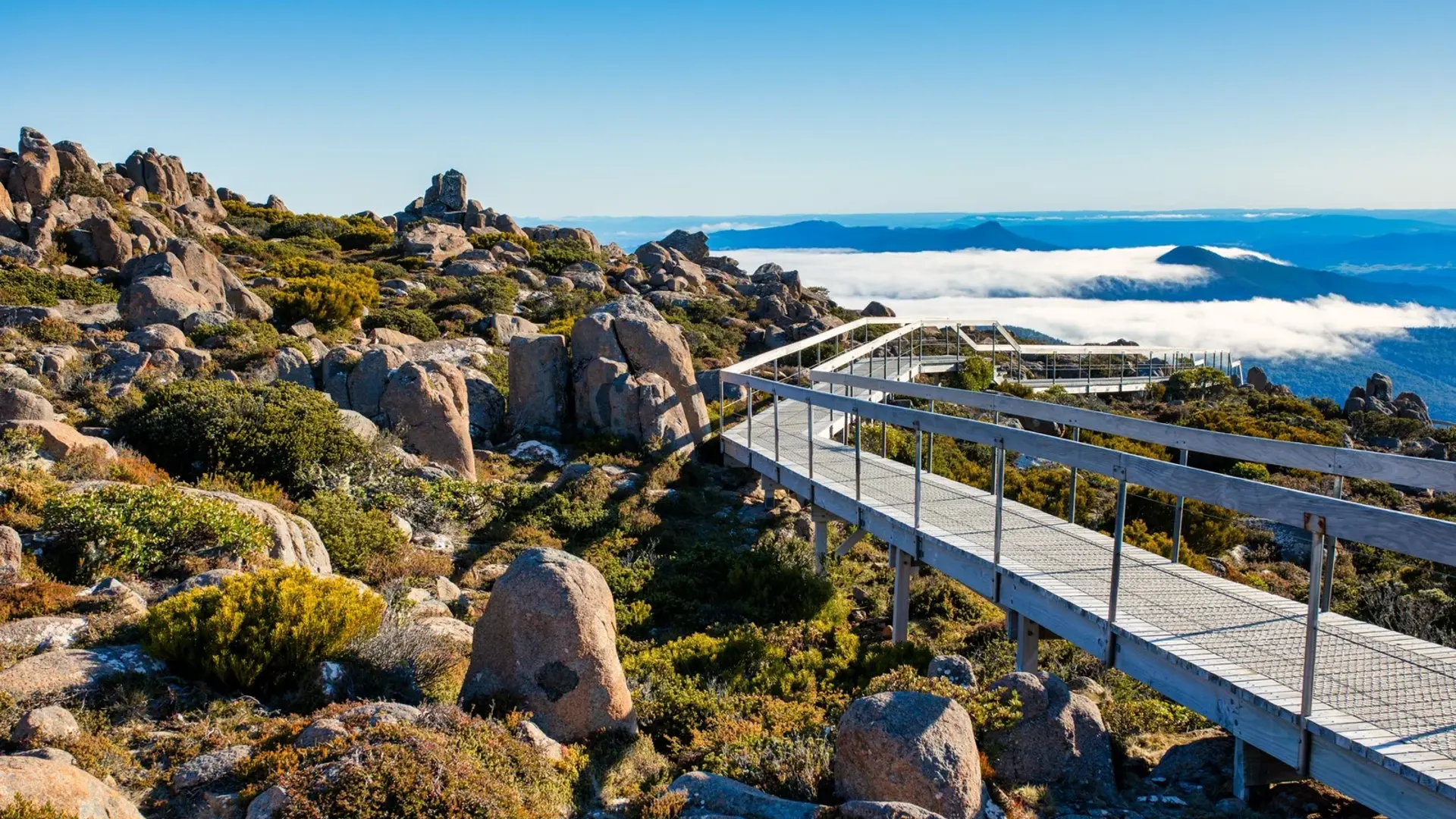 Freycinet National park nature walk, Tasmania, Australia