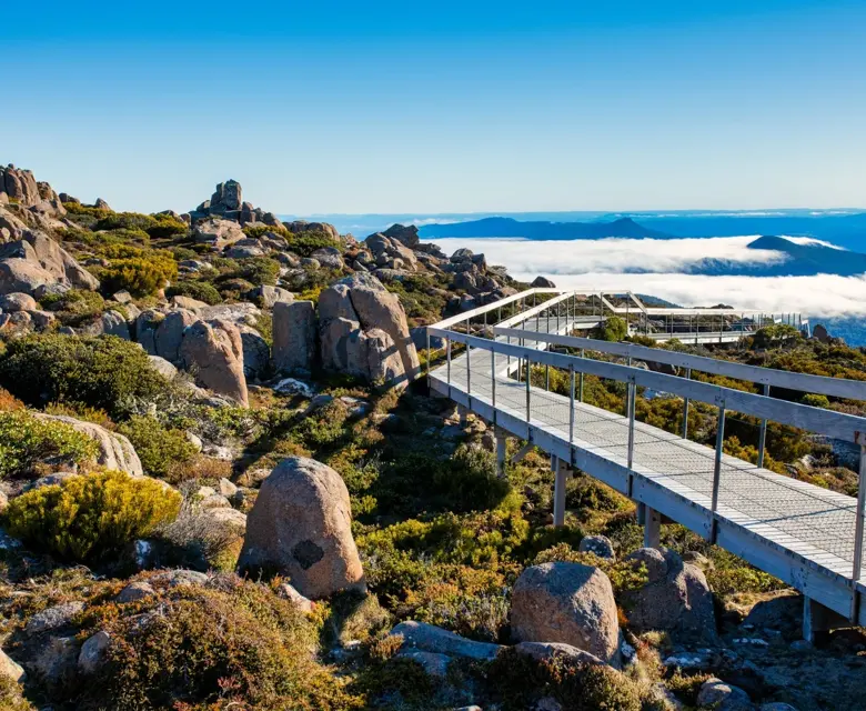 Freycinet National park nature walk, Tasmania, Australia