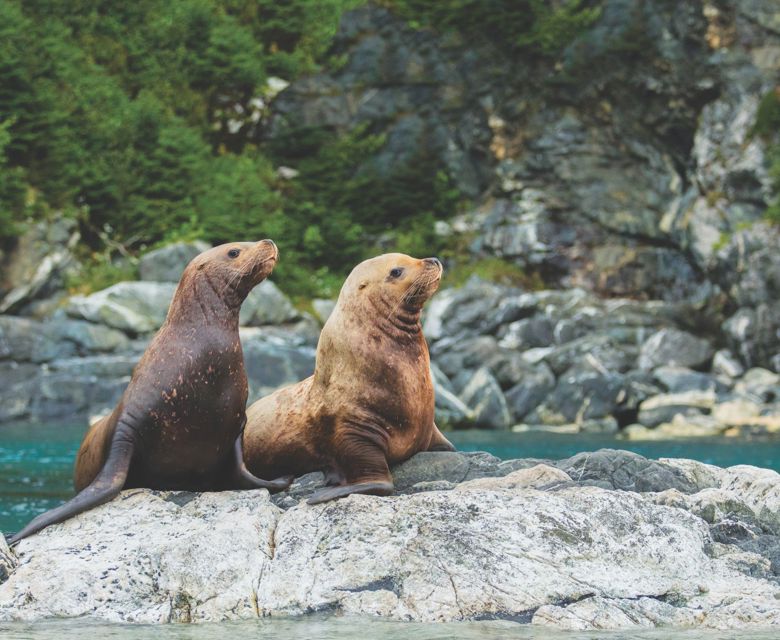 Rockies Rail & Coastal Alaska Expedition with Adventure World