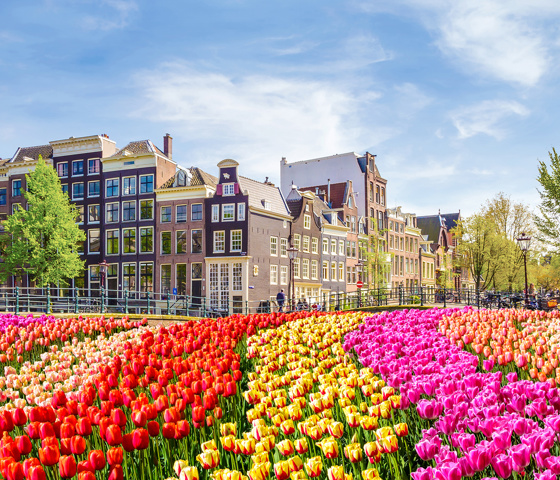 Amsterdam, The Netherlands © Viking