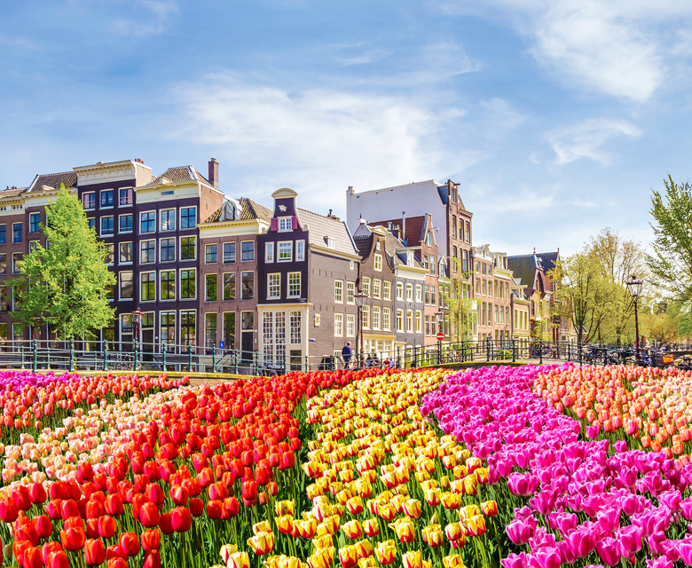 Amsterdam, The Netherlands © Viking