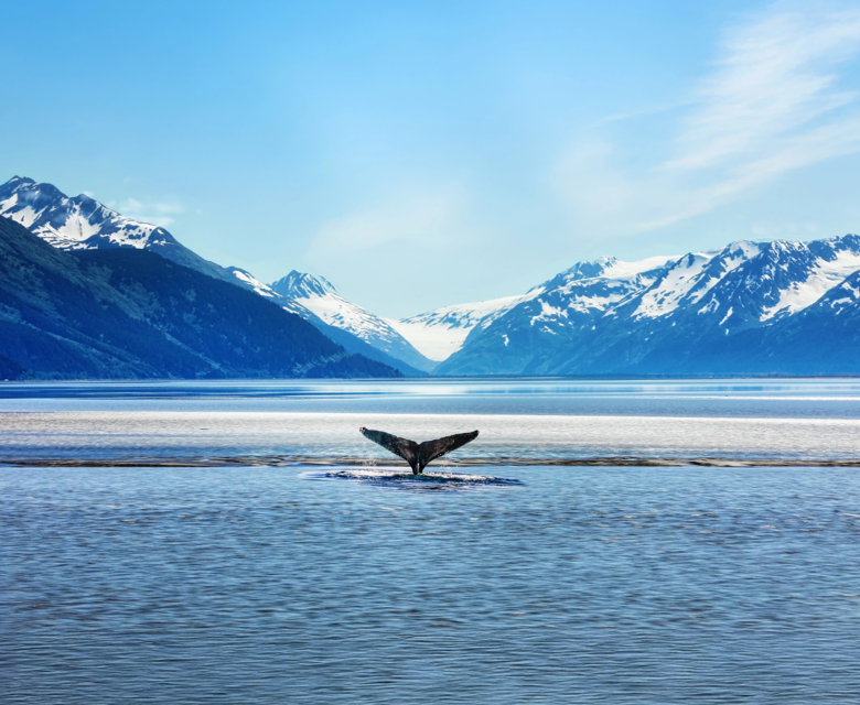 Seabourn - Glacier Bay