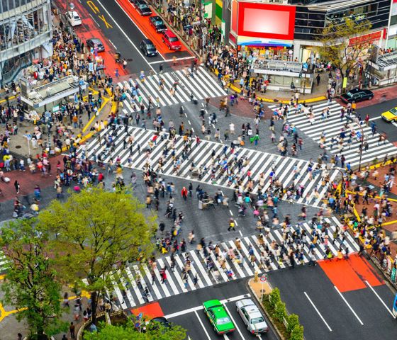 Shibuya Crossing