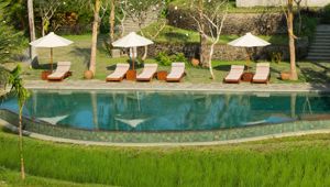 Alaya Resort Ubud Pool 