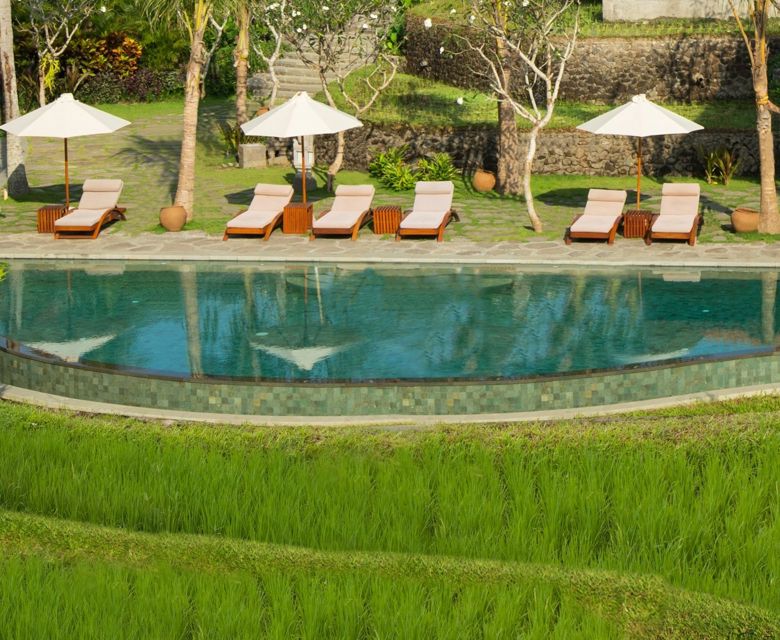 Alaya Resort Ubud Pool