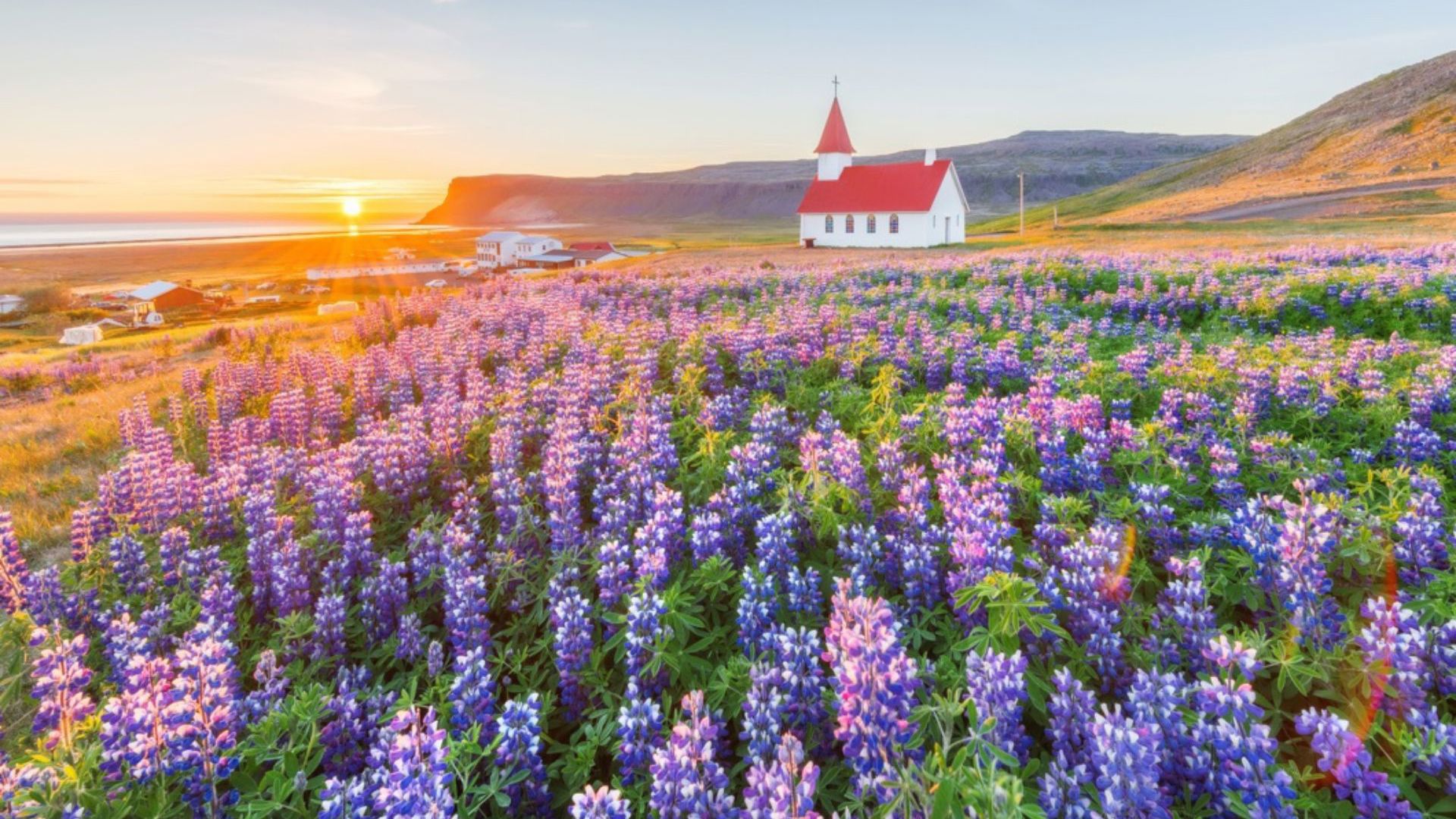 Iceland