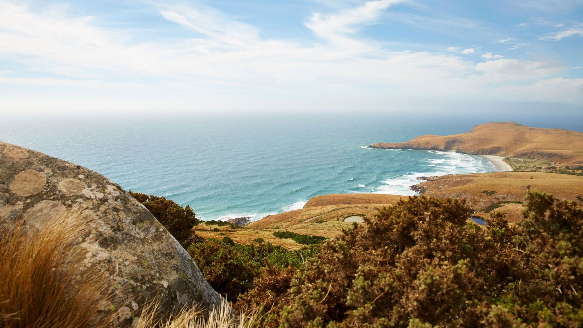 Dunedin, New Zealand