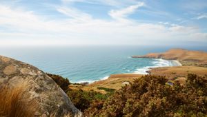 Dunedin, New Zealand